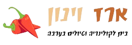 ארז_וינון-removebg-preview